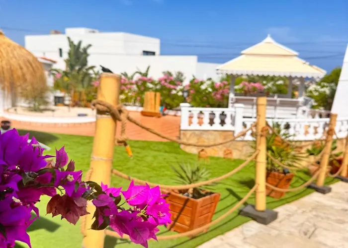 Coco De Luxe 10 12pers * Calpe